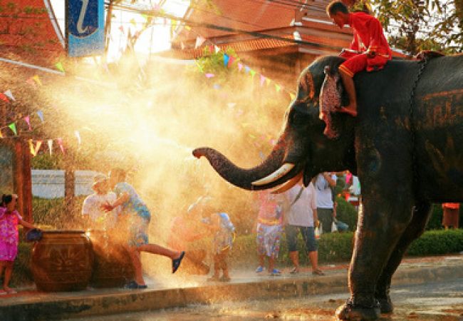 Image - Anwendungsbereiche